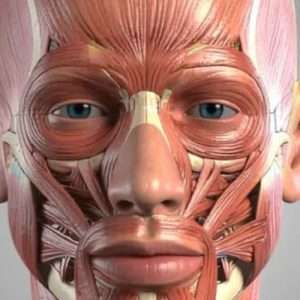Neurolyft Facial EMS Treatment in Bradford - Arden Clinic